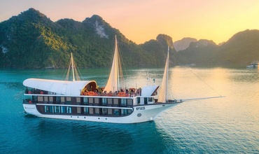 Top 12 Halong bay cruises for different types of traveler - Which one are you?