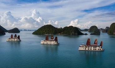 Experience of chartering a boat to visit Ha Long Bay: Update ticket prices and entrance fees (4 hours, 6 hours, 8 hours)