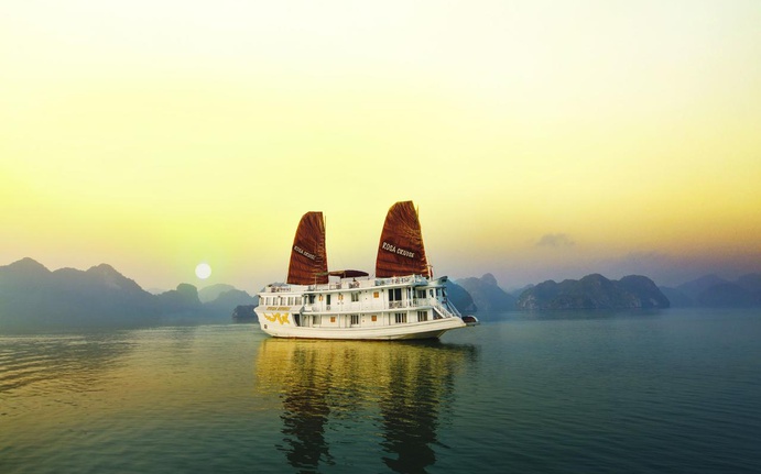 Rosa Cruise